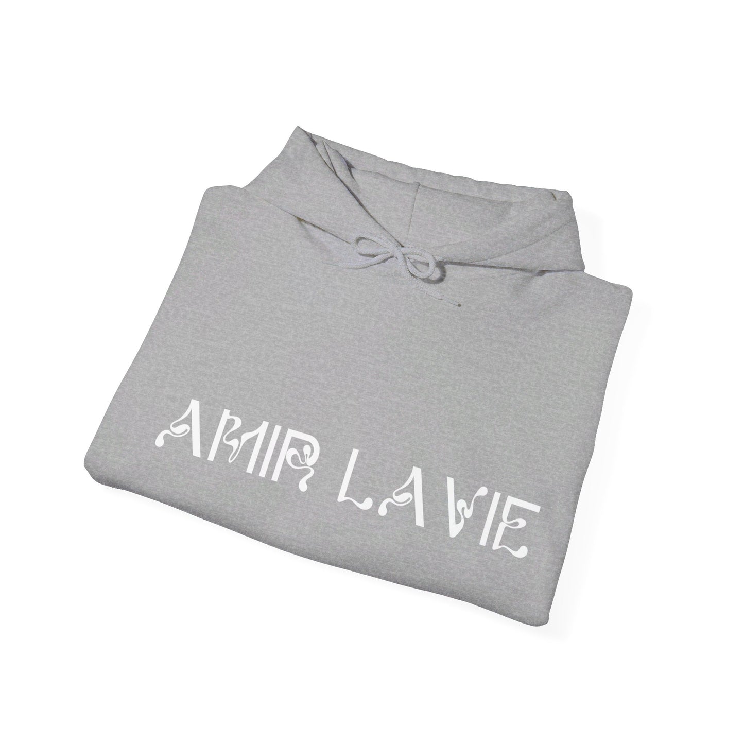 Amir LaVie - Hoodie